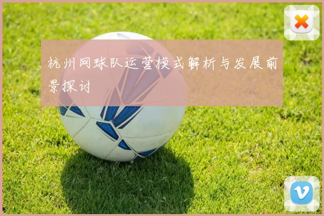 杭州网球队运营模式解析与发展前景探讨