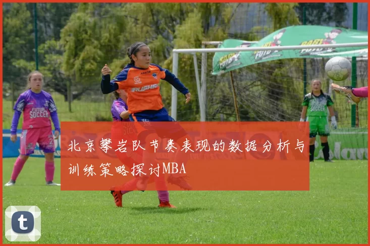 北京攀岩队节奏表现的数据分析与训练策略探讨MBA