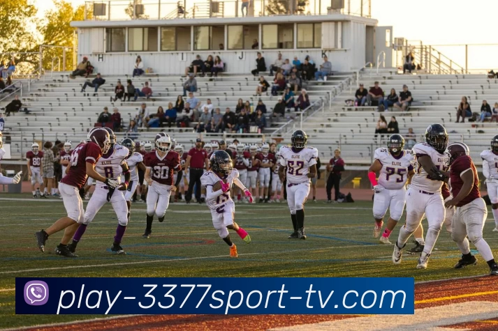 3377体育平台入口发展历程